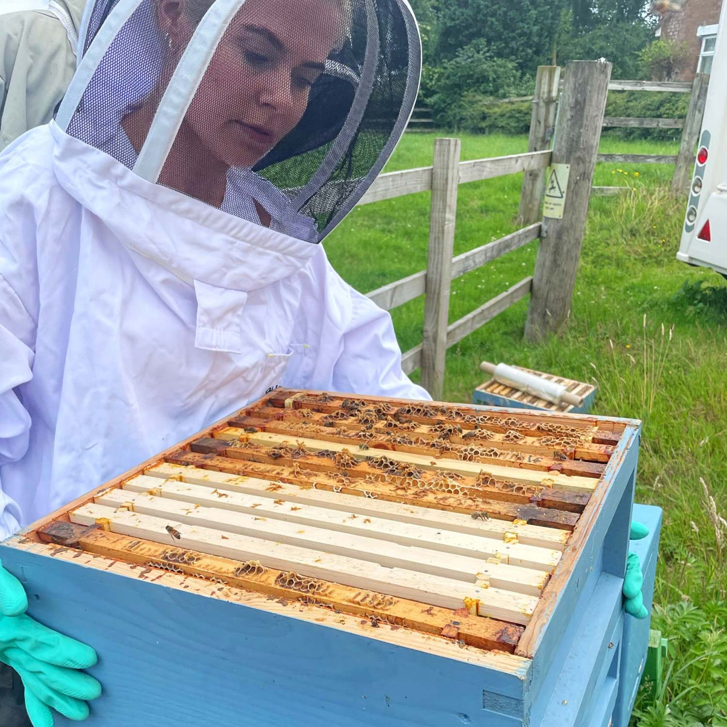 Lancashire Wildflower Raw Honey